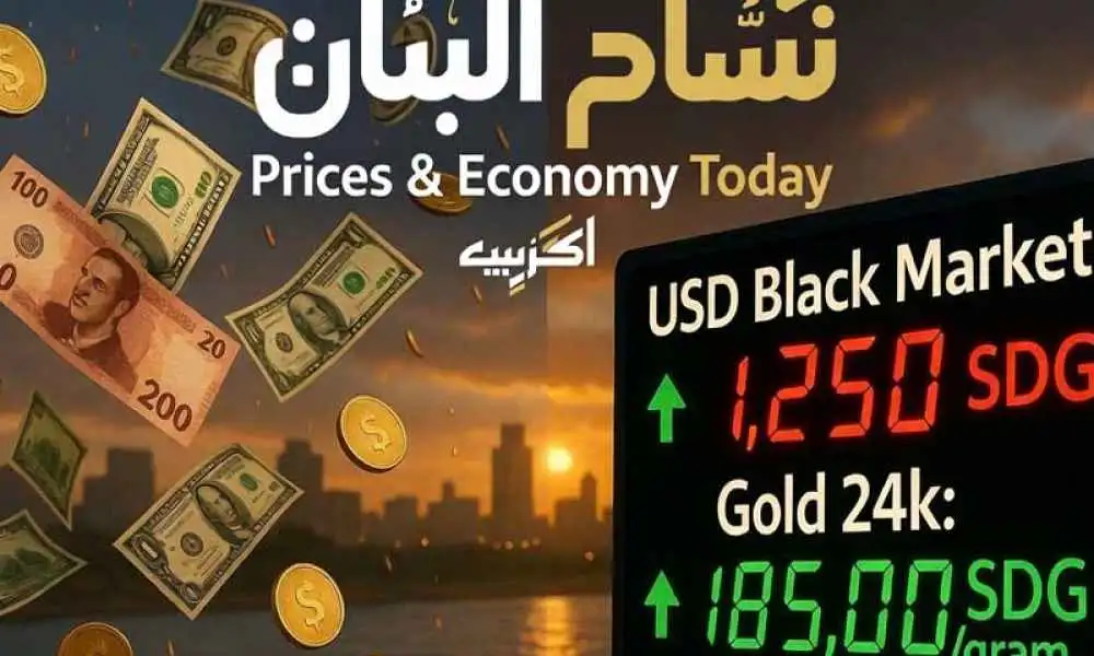 Sudanese pound and US dollar banknotes with gold coin - Sudan economy and prices today